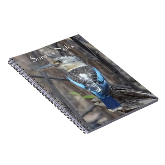 Kookaburra Bird Notizblock (Rechte Seite)