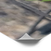 Kookaburra Bird Poster (Ecke)