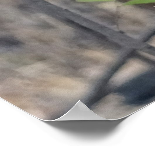 Kookaburra Bird Poster (Ecke)