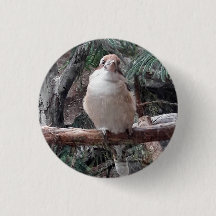 Kookaburra Button