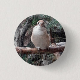 Kookaburra Button
