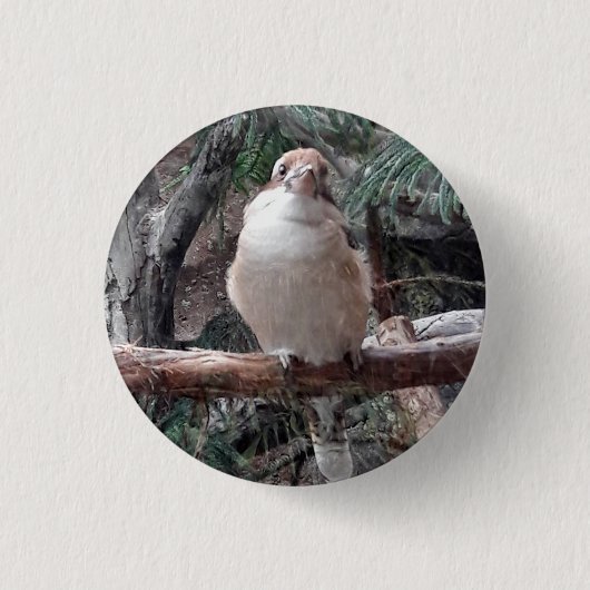 Kookaburra Button (Vorderseite)