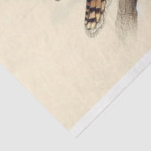 Kookaburra Decoupage Seidenpapier (Ausschnitt)