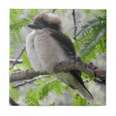 Kookaburra Fliese (Vorderseite)