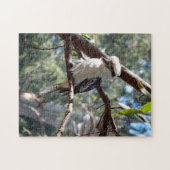Kookaburra Foto-Puzzle Puzzle (Horizontal)