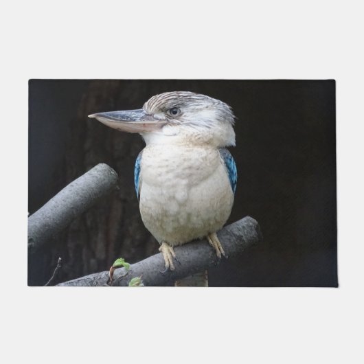 Kookaburra Fußmatte (Vorderseite)