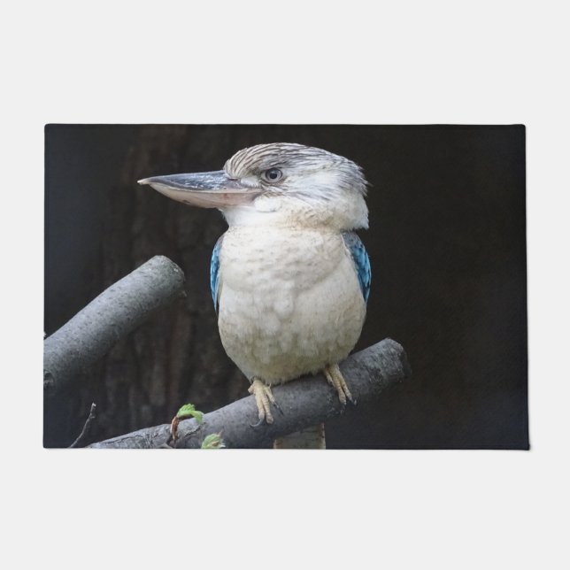 Kookaburra Fußmatte (Vorderseite)