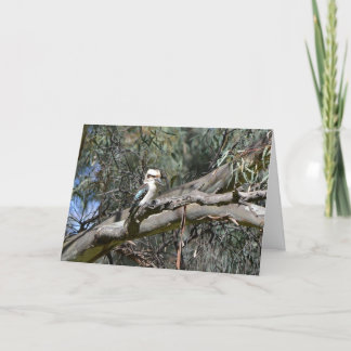 Kookaburra Geburtstags-Karte Karte