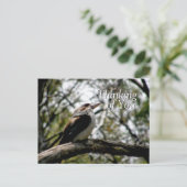 Kookaburra Gedanken Postkarte (Stehend Vorderseite)
