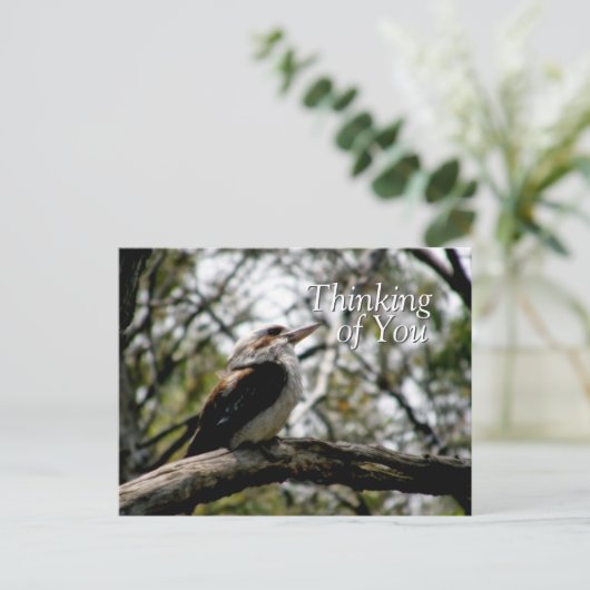 Kookaburra Gedanken Postkarte (Stehend Vorderseite)