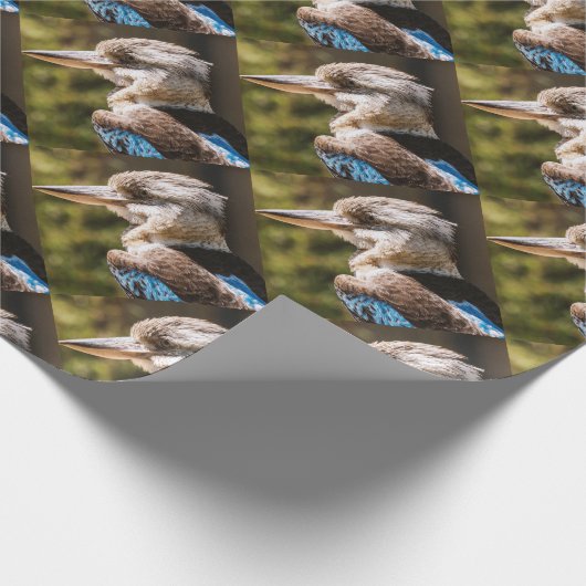Kookaburra Geschenkpapier (Ecke)