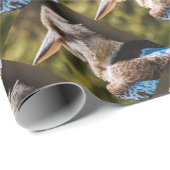 Kookaburra Geschenkpapier (Rolleneckpunkt)