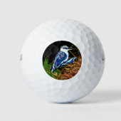 Kookaburra Golfball (Vorderseite)