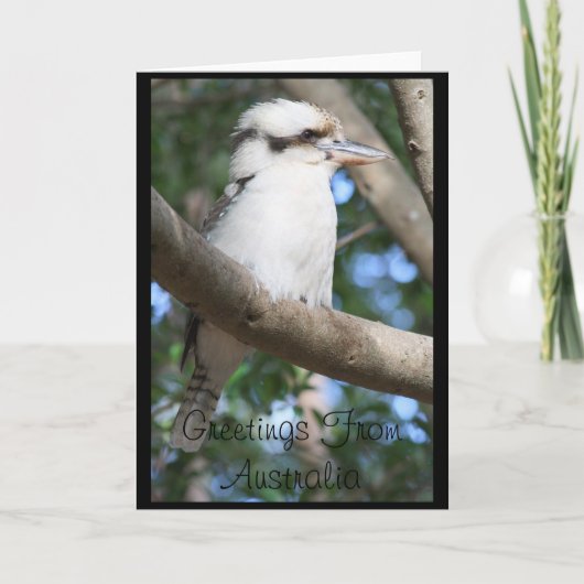 Kookaburra Grüße aus Australien Grußkarte Karte (Vorderseite)