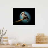 Kookaburra im Rampenlicht Poster (Küche)