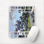 Kookaburra in My Window, Mousepad (Mit Mouse)