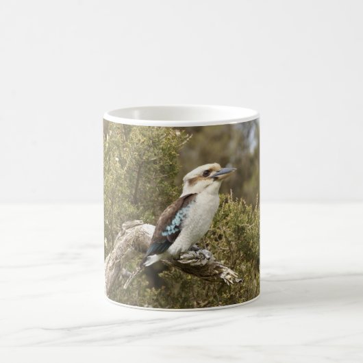 Kookaburra Kaffeetasse (Mittel)