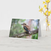 Kookaburra Karte (Gelbe Blume)