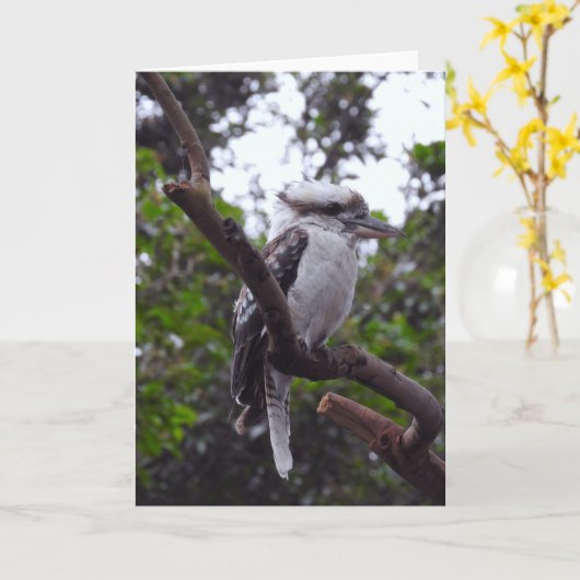 Kookaburra Karte (Gelbe Blume)