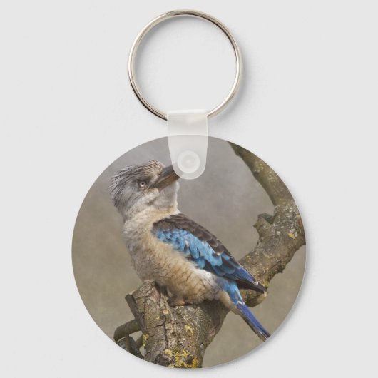 Kookaburra Keyring Schlüsselanhänger (Vorderseite)