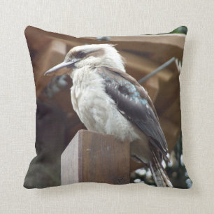 Kookaburra Kissen