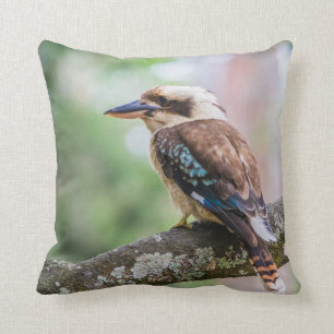 Kookaburra Kissen