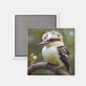 Kookaburra Magnet (Vorderseite/Rückseite)