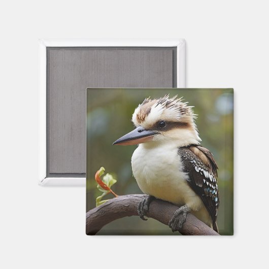 Kookaburra Magnet (Vorderseite/Rückseite)