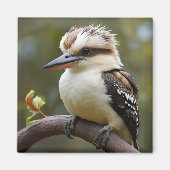 Kookaburra Magnet (Vorne)