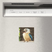 Kookaburra Magnet (In Situ (Geschirrspüler))