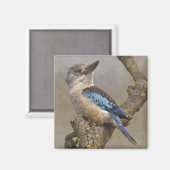 Kookaburra Magnet (Vorderseite/Rückseite)