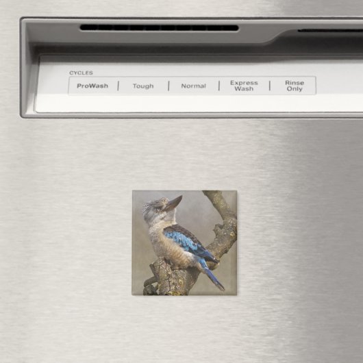 Kookaburra Magnet (In Situ (Geschirrspüler))
