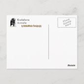 Kookaburra mit der rechten Postkarte (Rückseite)