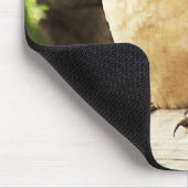 Kookaburra Mousepad (Ecke)