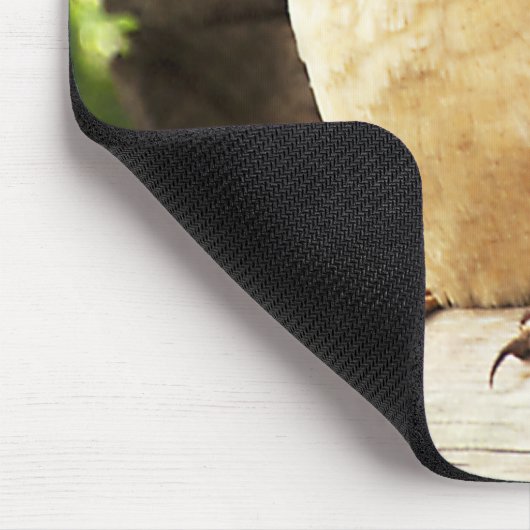 Kookaburra Mousepad (Ecke)