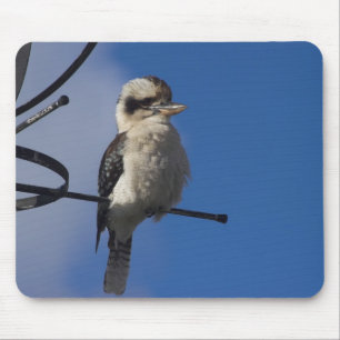 Kookaburra Mousepad