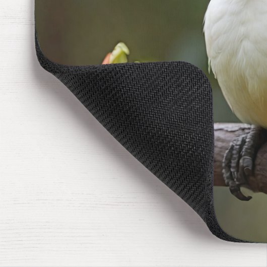 Kookaburra Mousepad (Ecke)