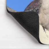 kookaburra mousepad (Ecke)