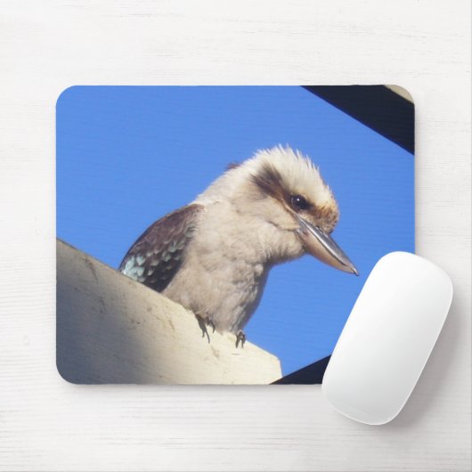 kookaburra mousepad (Mit Mouse)