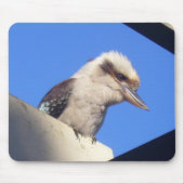 kookaburra mousepad (Vorne)