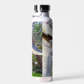 Kookaburra neben Blossom Tree, Trinkflasche (Rechts)