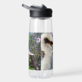 Kookaburra neben Blossom Tree, Trinkflasche (Rechts)