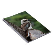 Kookaburra Notizblock (Rechte Seite)