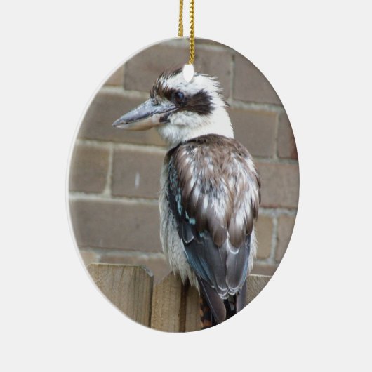 Kookaburra Ornament (Rechts)