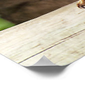 Kookaburra Poster (Ecke)