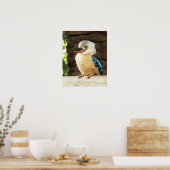 Kookaburra Poster (Küche)