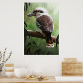 Kookaburra Poster (Küche)