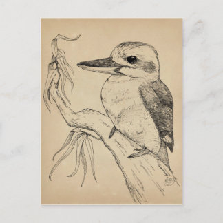 Kookaburra Postkarte