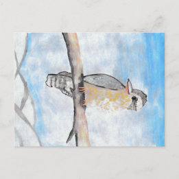 Kookaburra Postkarte