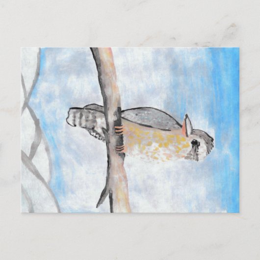 Kookaburra Postkarte (Vorderseite)